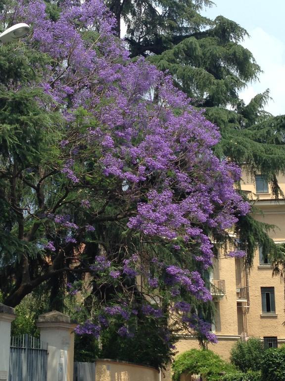 In Isole Gasthuis Rome
